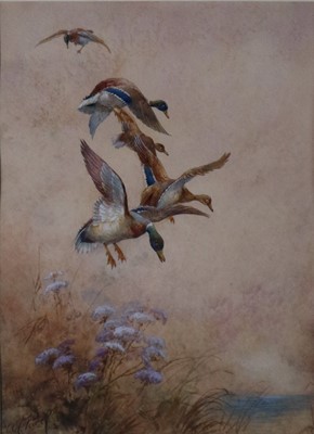 Lot 99 - William E.Powell (British, 1878-1958), A Pair of Wildlife Watercolours