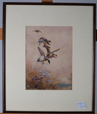 Lot 99 - William E.Powell (British, 1878-1958), A Pair of Wildlife Watercolours