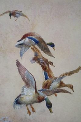 Lot 99 - William E.Powell (British, 1878-1958), A Pair of Wildlife Watercolours