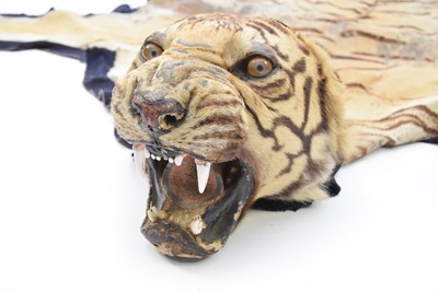 Lot 34 - Taxidermy: a full tiger skin rug with head