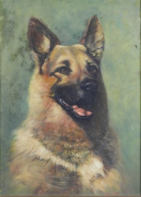 Lot 261 - Gerald V. Gadd (British, 20th century), portrait of an Alsatian