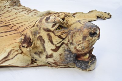 Lot 38 - Taxidermy: a tiger skin rug with head, possibly Rowland Ward