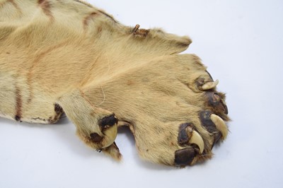 Lot 38 - Taxidermy: a tiger skin rug with head, possibly Rowland Ward