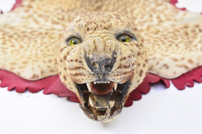 Lot 39 - Taxidermy: a leopard skin rug with head attributed to Van Ingen