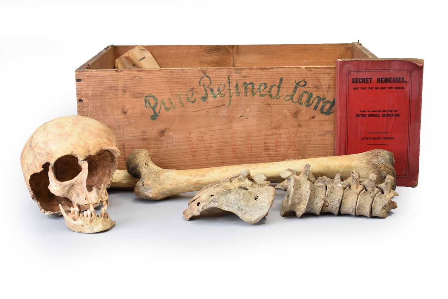 Lot 29 - Anatomy: a French human skeleton