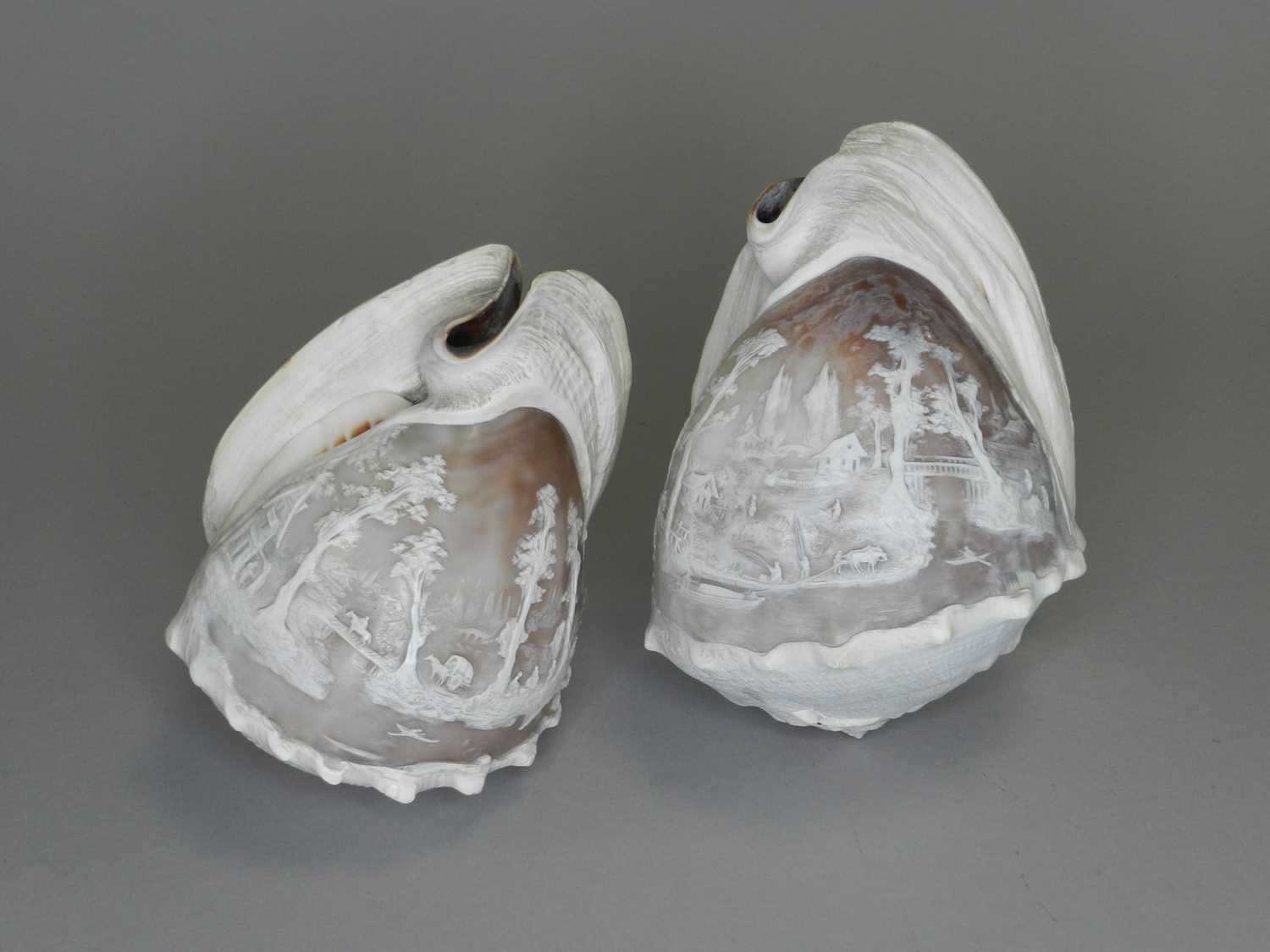 Lot 242 - A pair of 19th century Continental cameo carved conch shells