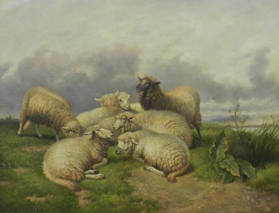 Lot 92 - James Greenall (British 20th Century) Group of Sheep on a Grassy Hillside