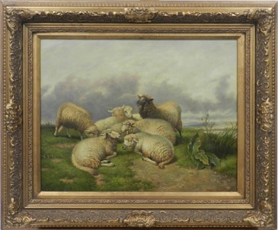 Lot 92 - James Greenall (British 20th Century) Group of Sheep on a Grassy Hillside