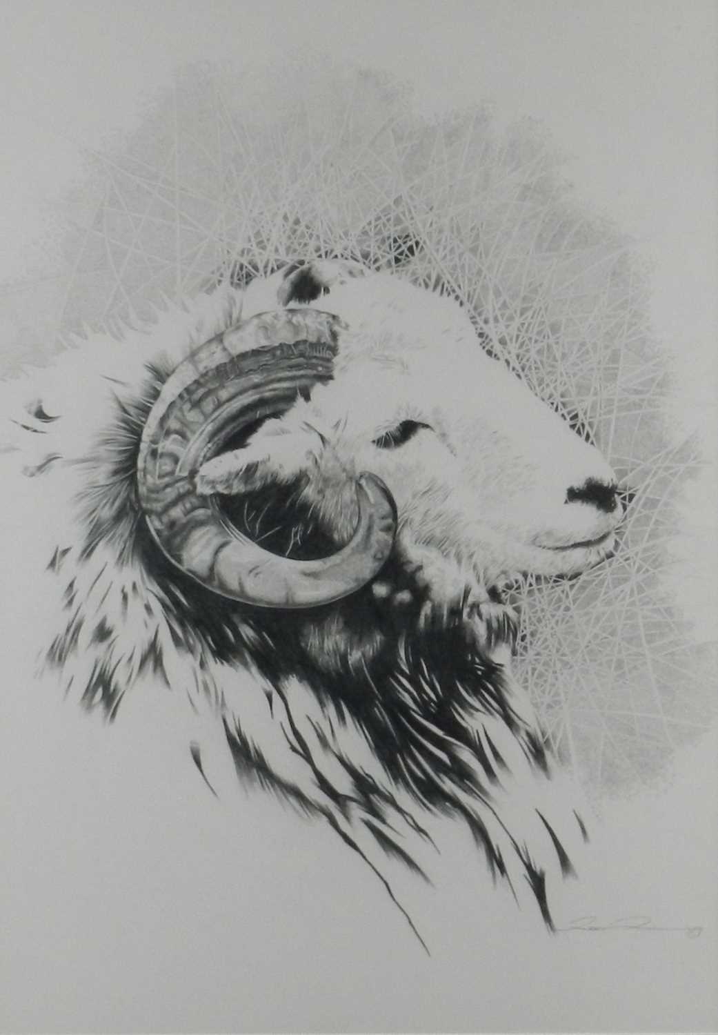 Lot 234 - Roger Powell (British 20th Century) Pencil Drawing of a Ram's Head