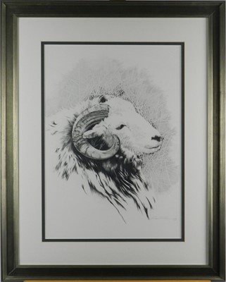 Lot 234 - Roger Powell (British 20th Century) Pencil Drawing of a Ram's Head
