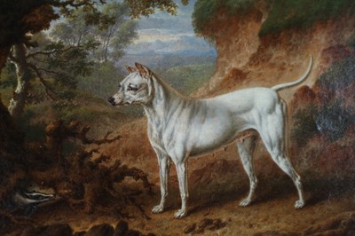 Lot 199 - Charles Towne (British, 1763-1840), a Staffordshire Bull Terrier Bitch