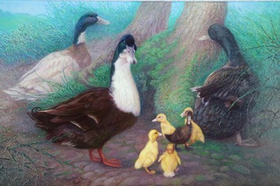 Lot 278 - Denby Sweeting (British 1936-2020) Two Studies of Ducks and Ducklings