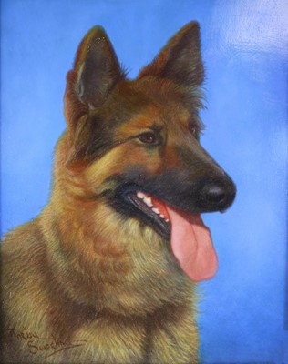 Lot 179 - Denby Sweeting (British 1936-2020) Two Portraits of an Alsatian and a Collie