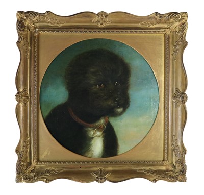 Lot 231 - Continental School (circa 1900) An anthropomorphic portrait of a terrier-like dog