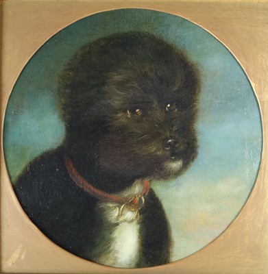 Lot 231 - Continental School (circa 1900) An anthropomorphic portrait of a terrier-like dog