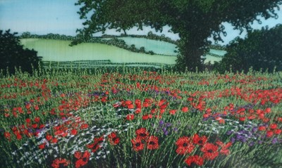 Lot 204 - Alison Holt (British Contemporary) Poppy Fields Embroidery