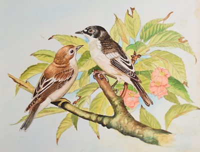 Lot 192 - Maurice George Walters (1914-1997) A Collection of paintings and sketchbooks