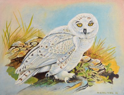 Lot 192 - Maurice George Walters (1914-1997) A Collection of paintings and sketchbooks
