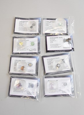 Lot 39 - A large collection of 'Gem Collector' loose gemstones