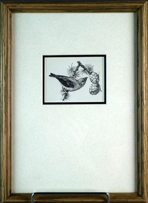 Lot 23 - Charles Frederick Tunnicliffe OBE RA(1901-1979) Crossbill