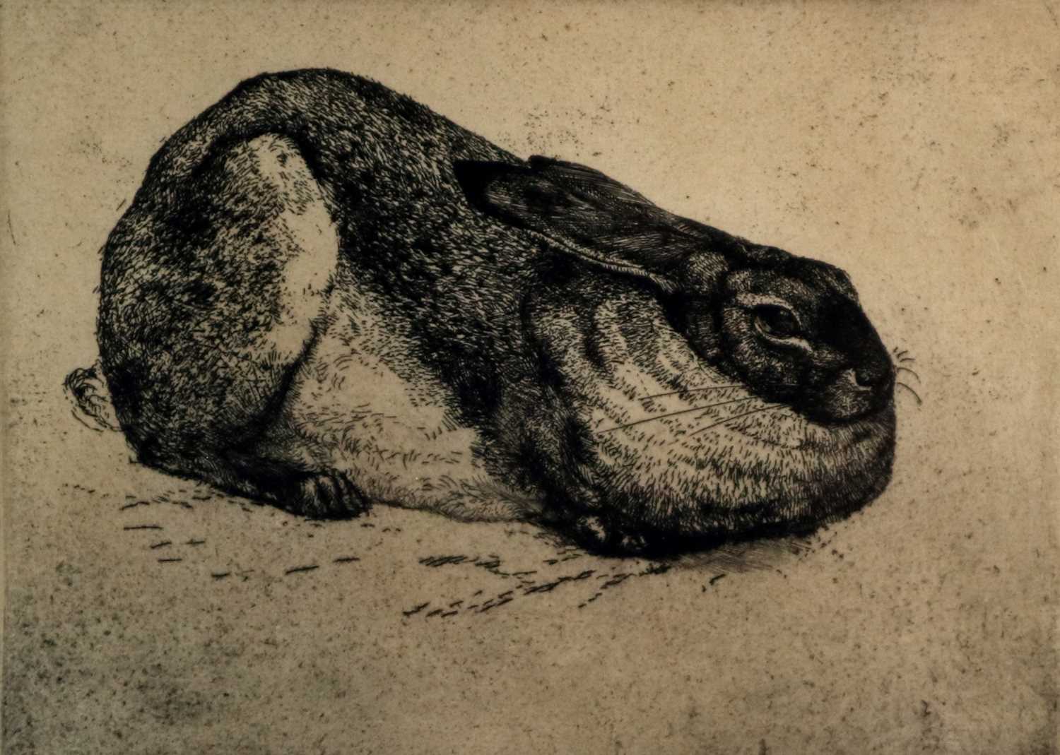 Lot 2 - Charles Frederick Tunnicliffe  OBE RA(1901-1979) The Sitting Hare