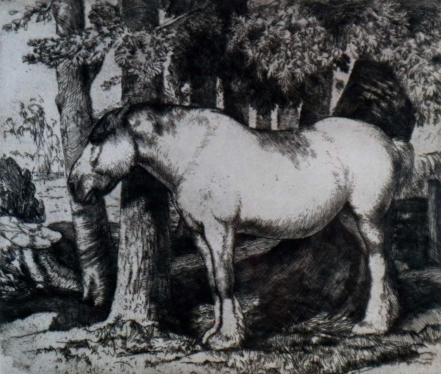 Lot 3 - Charles Frederick Tunnicliffe OBE RA (1901-1979) The White Horse