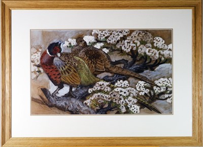 Lot 41 - Charles Frederick Tunnicliffe OBE RA (1901-1979) Pheasants in Blossom