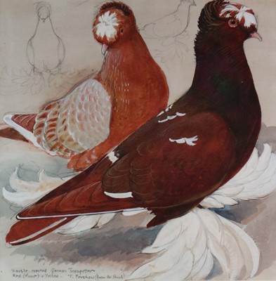 Lot 30 - Charles Frederick Tunnicliffe OBE RA (1901-1979) Double Crested German Trumpeters