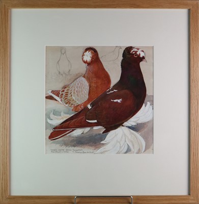 Lot 30 - Charles Frederick Tunnicliffe OBE RA (1901-1979) Double Crested German Trumpeters