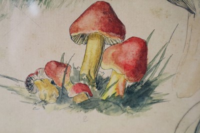Lot 107 - Gerardus van Spaendonk (Dutch 1746-1822) Studies of Mushrooms