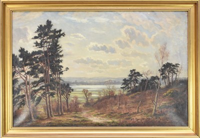 Lot 216 - Edwin Harris (British 19th Century) Wooded Landscape with Lake Beyond