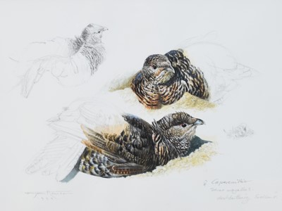 Lot 186 - Bryan Hanlon (b. 1956) Capercaillie