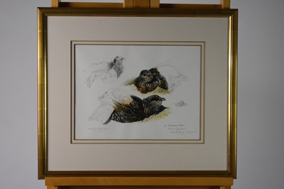 Lot 186 - Bryan Hanlon (b. 1956) Capercaillie