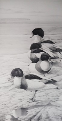 Lot 198 - Terence Lambert (b.1951) Shelducks on the Dovey Estuary