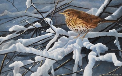 Lot 240 - David Miller (British, b.1966), Winter Thrush