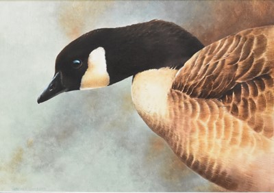 Lot 96 - Terence Lambert (b.1951) Canada Goose