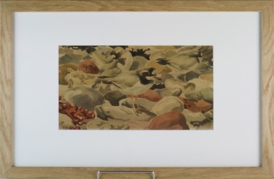 Lot 196 - Richard Barrett Talbot Kelly MBE RI SWLA (1896-1971) Little Ringed Plover