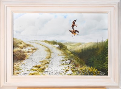 Lot 88 - Terence Lambert (b.1951) Red Kites in Flight