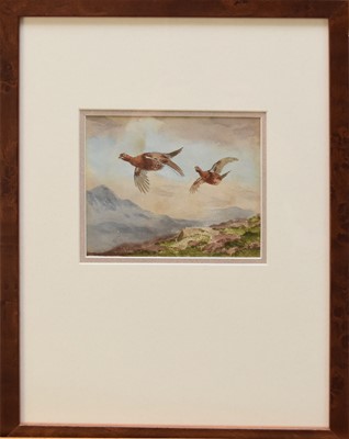 Lot 200 - John Cyril Harrison (British 1895-1985) Grouse in Flight