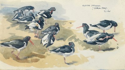 Lot 201 - Eric Arnold Roberts Ennion (1900-1981) Oystercatchers