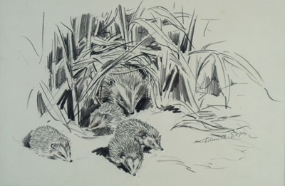 Lot 134 - Eileen Alice Soper RMS SWLA (1905-1990) Hedgehogs of the Bamboo Thicket