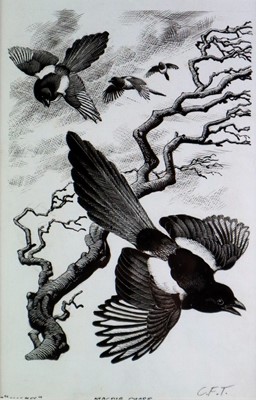 Lot 29 - Charles Frederick Tunnicliffe OBE RA (1901-1979) Magpie Chase