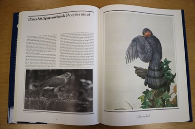 Lot 259 - Gareth Parry RCA (British, b.1951), Sparrowhawk