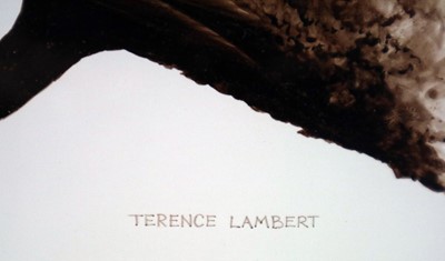 Lot 57 - Terence Lambert (b.1951) Treecreeper