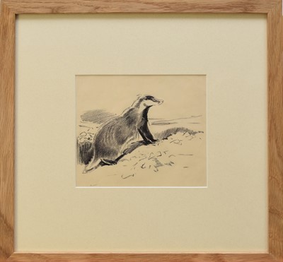 Lot 206 - Eileen Alice Soper RMS SWLA (1905-1990) Badger Looking Out