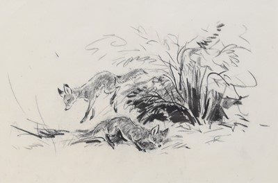 Lot 127 - Eileen Alice Soper RMS SWLA (1905-1990) Studies of Foxes and Fox Cubs