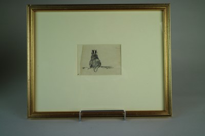 Lot 228 - Eileen Alice Soper RMS SWLA (1905-1990) Five Animal Studies