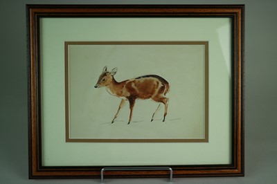 Lot 228 - Eileen Alice Soper RMS SWLA (1905-1990) Five Animal Studies