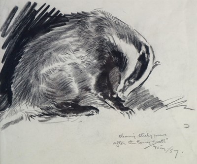 Lot 133 - Eileen Alice Soper RMS SWLA (1905-1990) Cleaning Sticky Paws after the Honey Feast