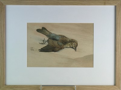 Lot 184 - Richard Barrett Talbot Kelly MBE RI SWLA (1896-1971) Thrush